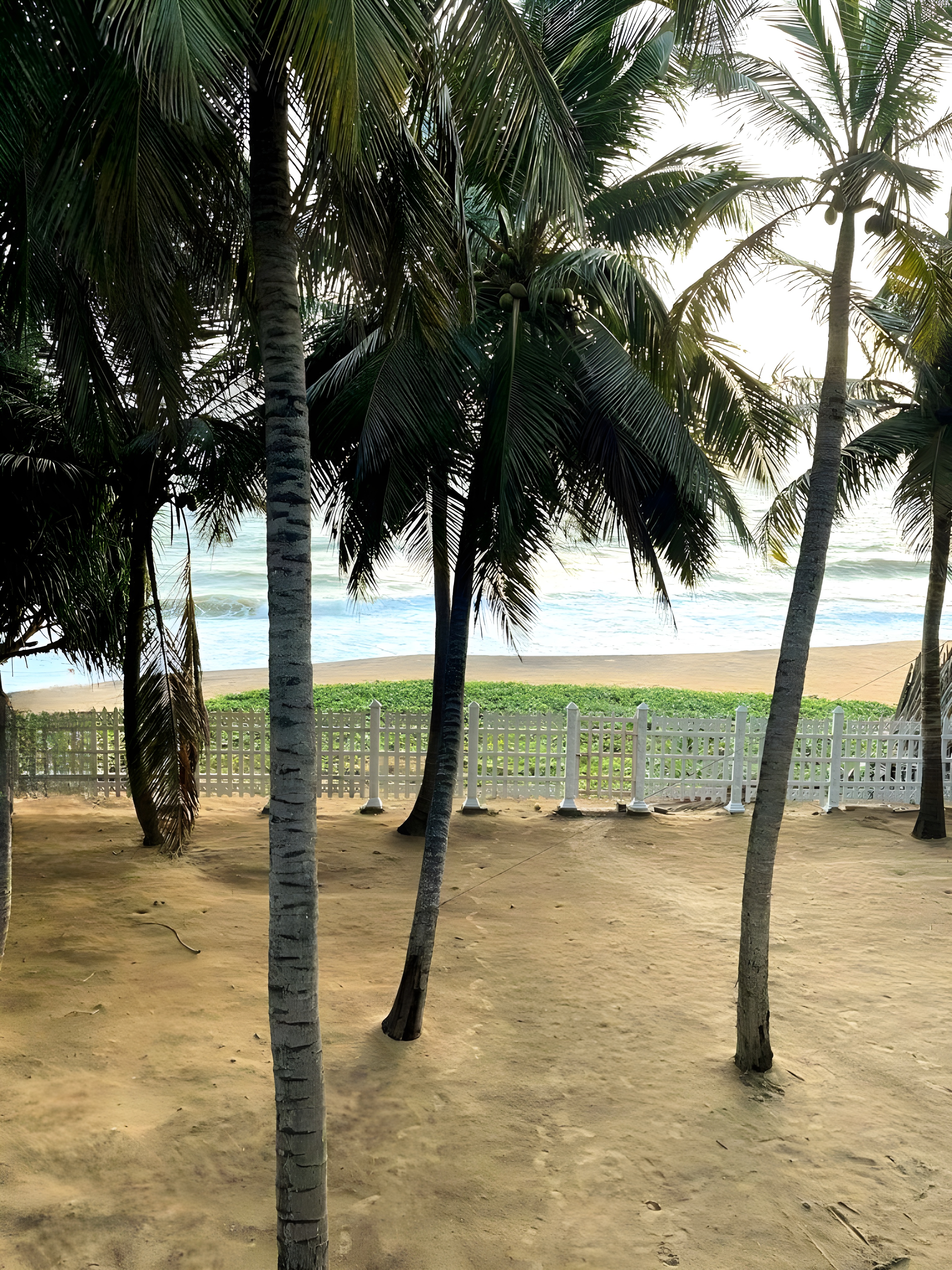 Beach view through coconut palms at CocoBaru Marawila